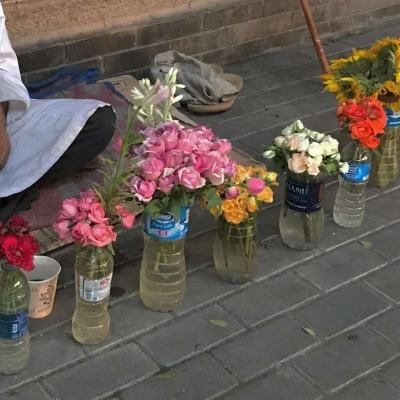 小花仙九游版本下载