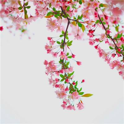 无尽航线游戏