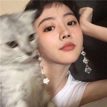 火柴人蜘蛛英雄内购破解版下载